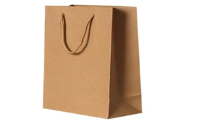 Paper Bag 1Pc