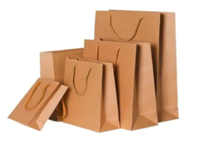 Paper Bag 6Pc